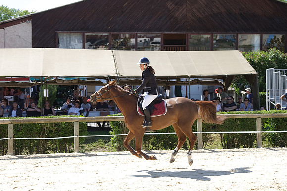 CSO Amateur 1 Grand Prix (1m20)
