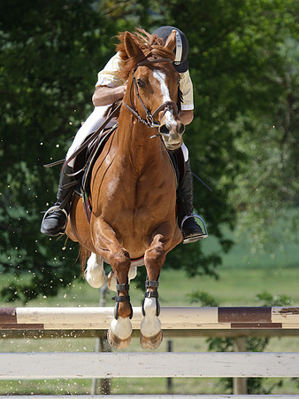 CSO Amateur 3 préparatoire (0,95m)