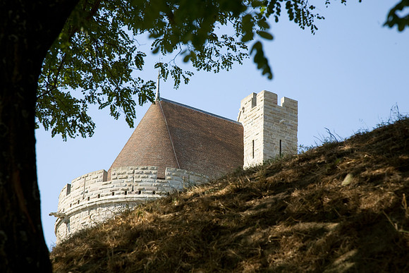 La cité de Carcassonne