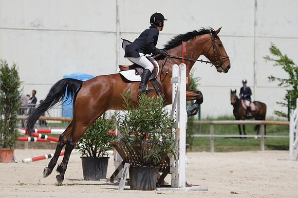 CSO Amateur 3 Préparatoire (0,95m)