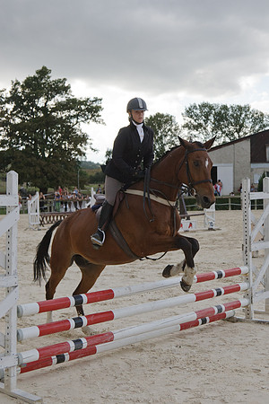 Fête du cheval 2010