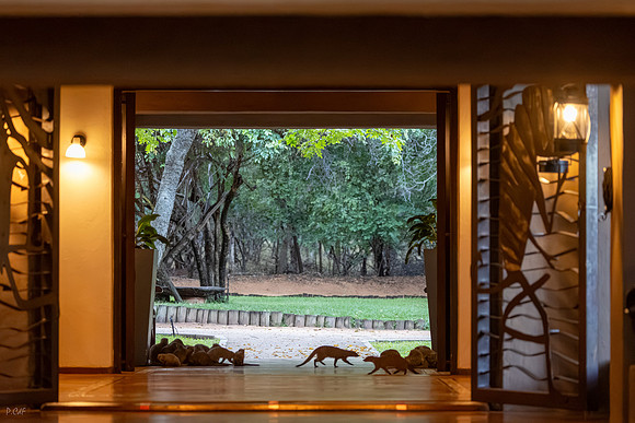 Lodge Chobe Chilwero
