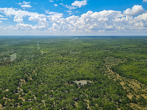 La savane vue d'hélicoptère