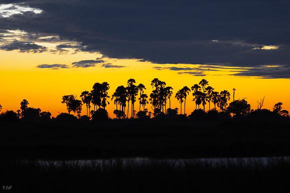 Coucher de Soleil
