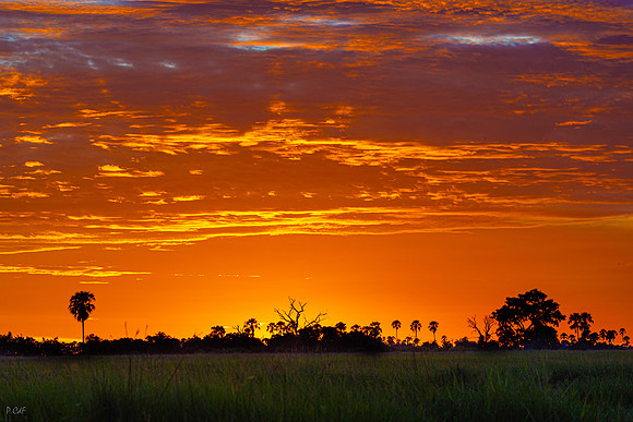 Coucher de Soleil