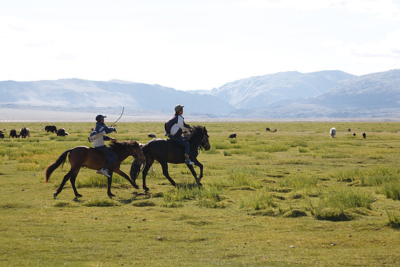 Mongolie 2008