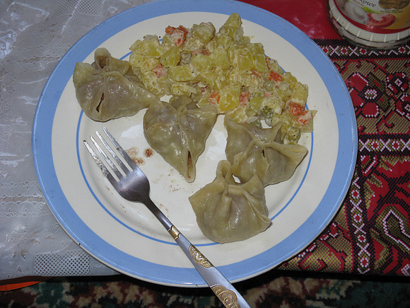 Mongolie 2008