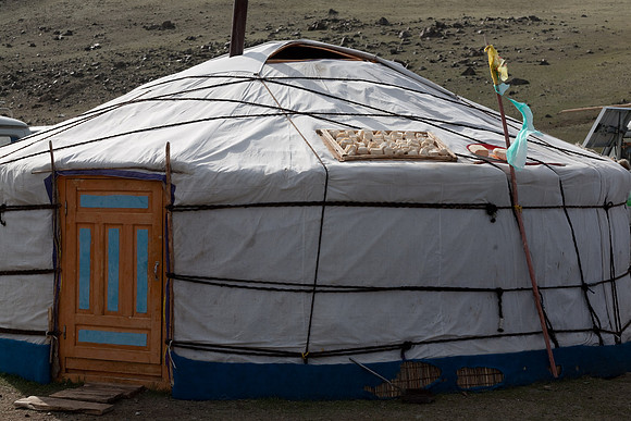 Mongolie 2008