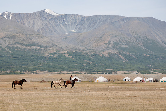 Mongolie 2008