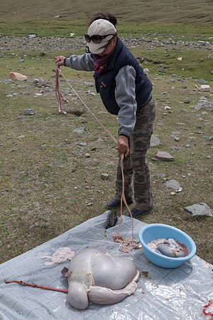 Mongolie 2008