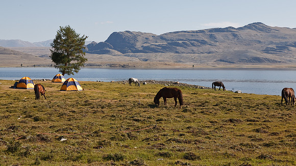 Mongolie 2008