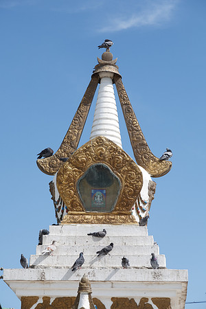 Mongolie 2008