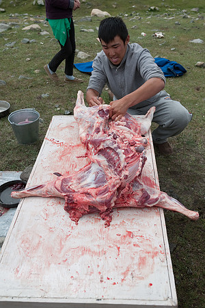 Mongolie 2008