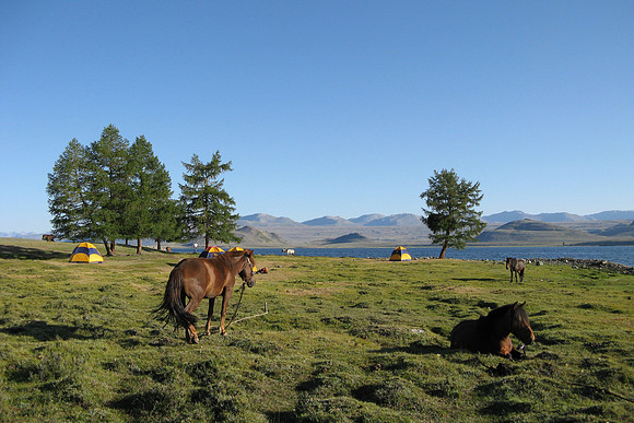 Mongolie 2008