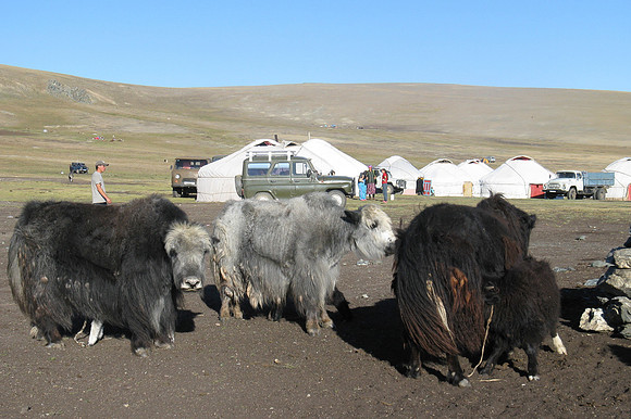 Mongolie 2008
