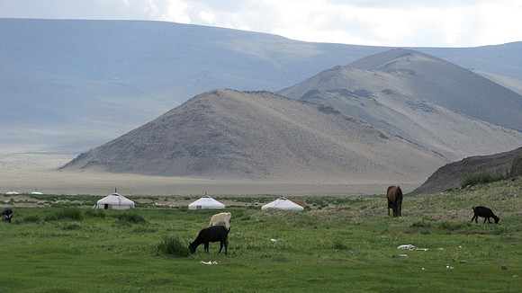 Mongolie 2008