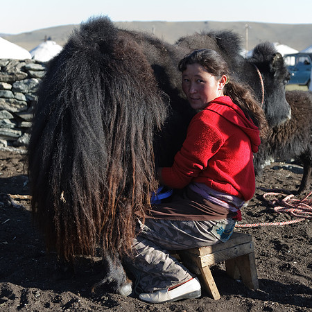 Mongolie 2008