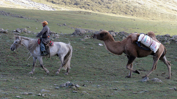 Mongolie 2008