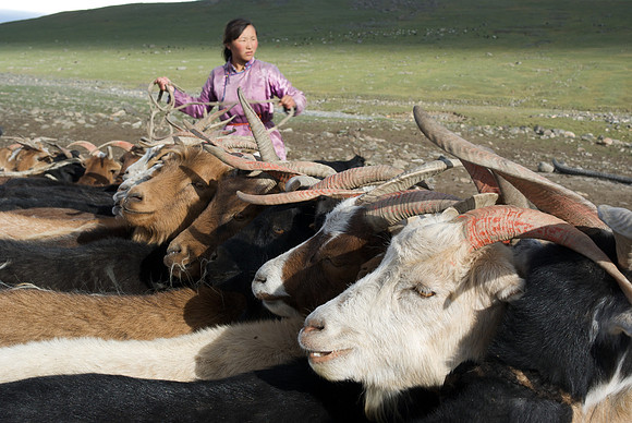 Mongolie 2008