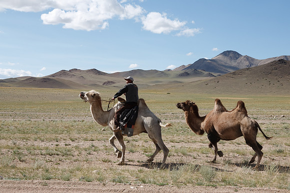 Mongolie 2008