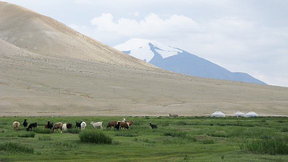 Mongolie 2008