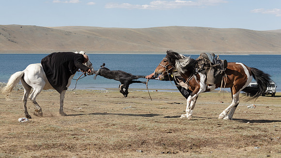 Mongolie 2008