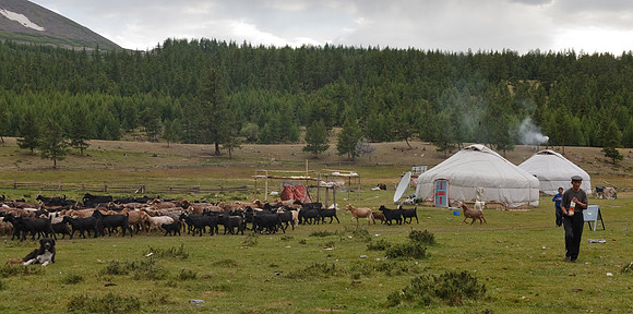 Mongolie 2008