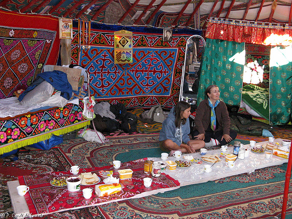 Mongolie 2008