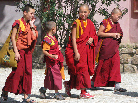 Mongolie 2008