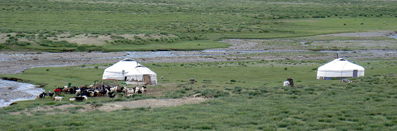 Mongolie 2008