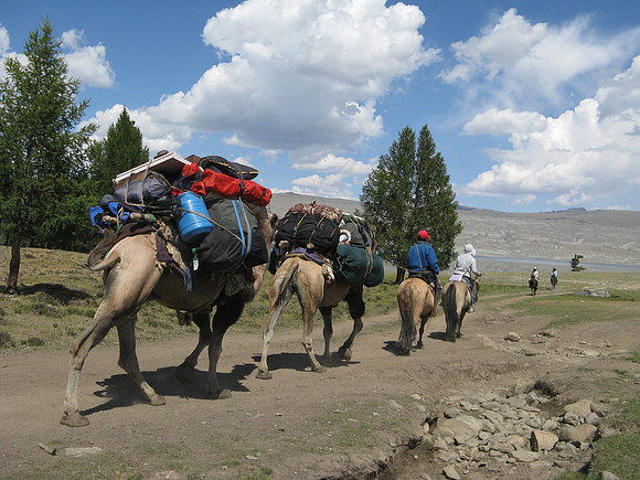 Mongolie 2008