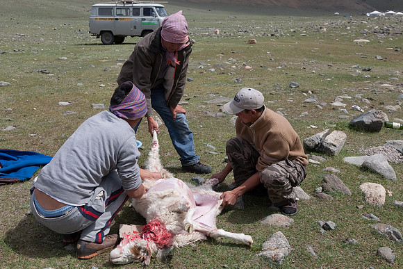 Mongolie 2008