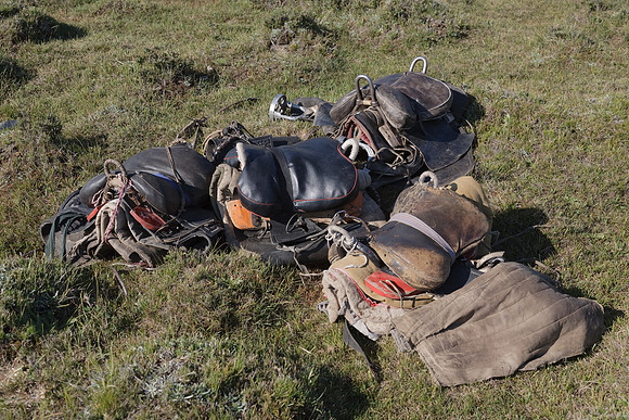 Mongolie 2008