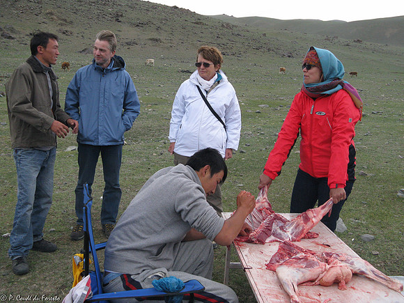 Mongolie 2008
