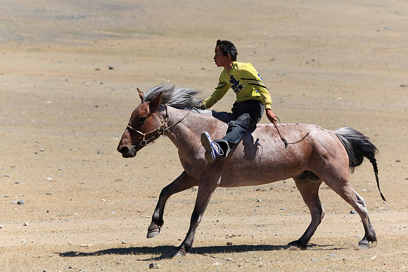 Mongolie 2008