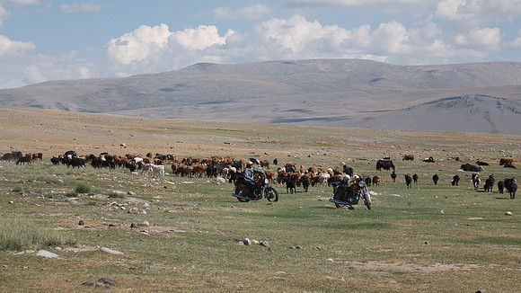 Mongolie 2008