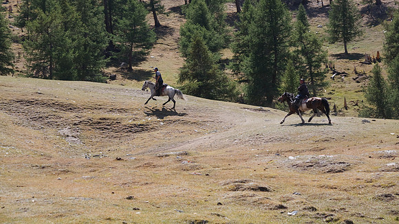 Mongolie 2008