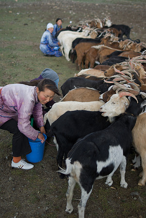 Mongolie 2008