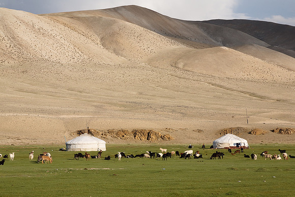 Mongolie 2008