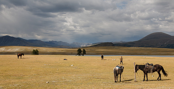 Mongolie 2008