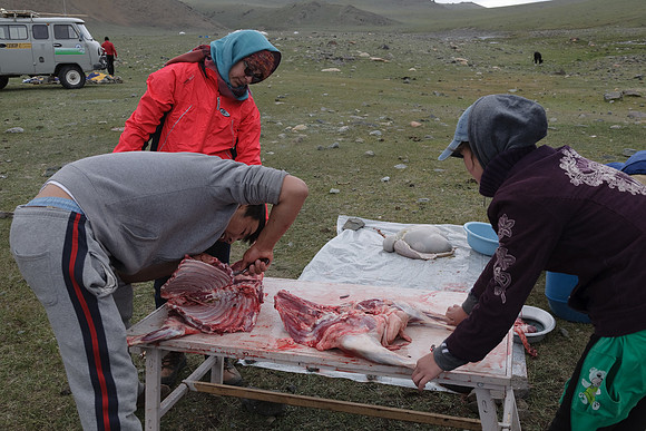 Mongolie 2008