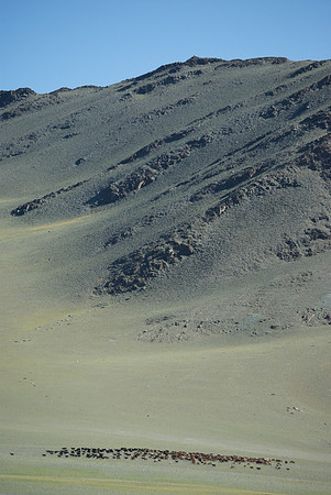 Mongolie 2008