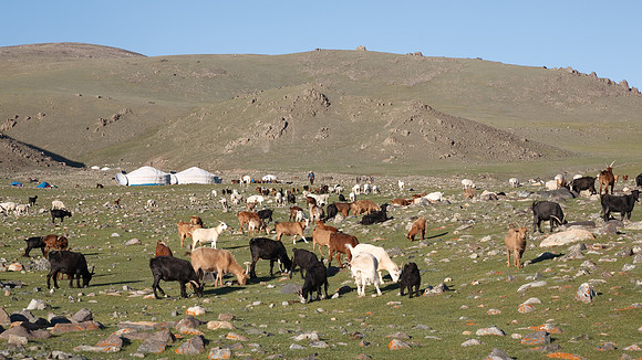 Mongolie 2008