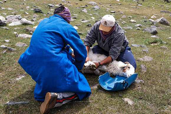 Mongolie 2008