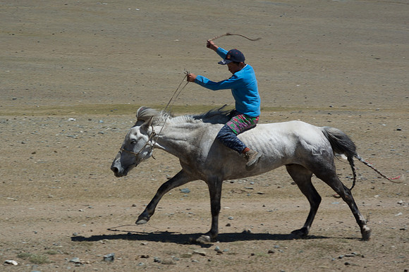 Mongolie 2008