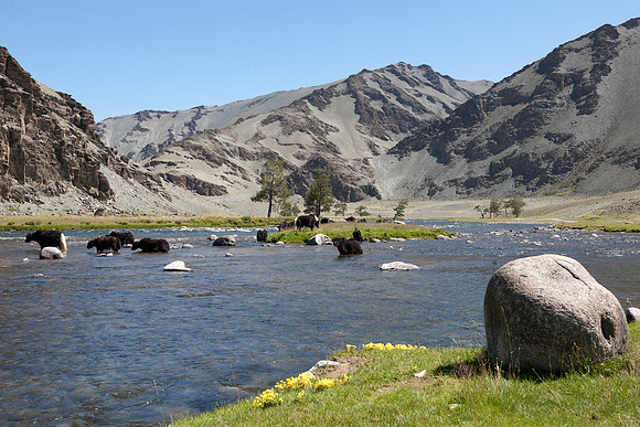 Mongolie 2008