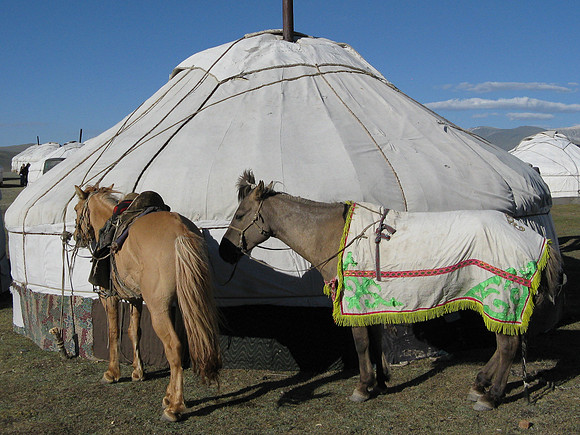 Mongolie 2008