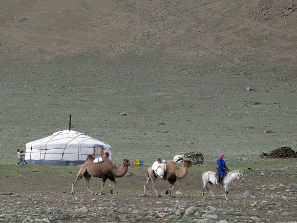 Mongolie 2008