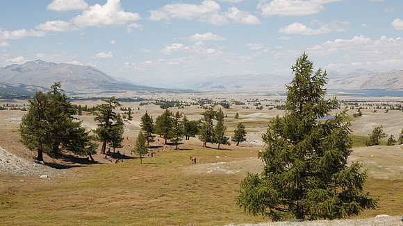 Mongolie 2008