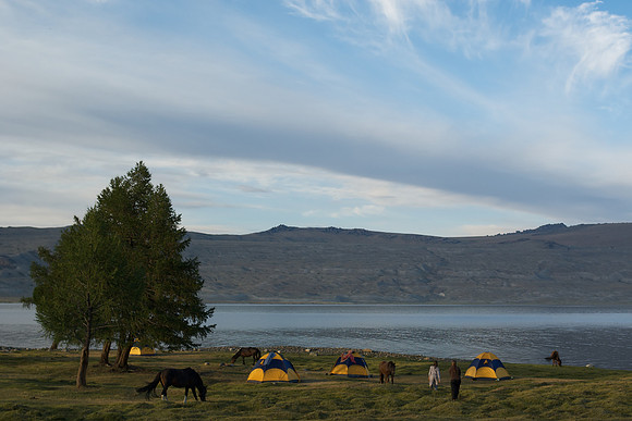 Mongolie 2008